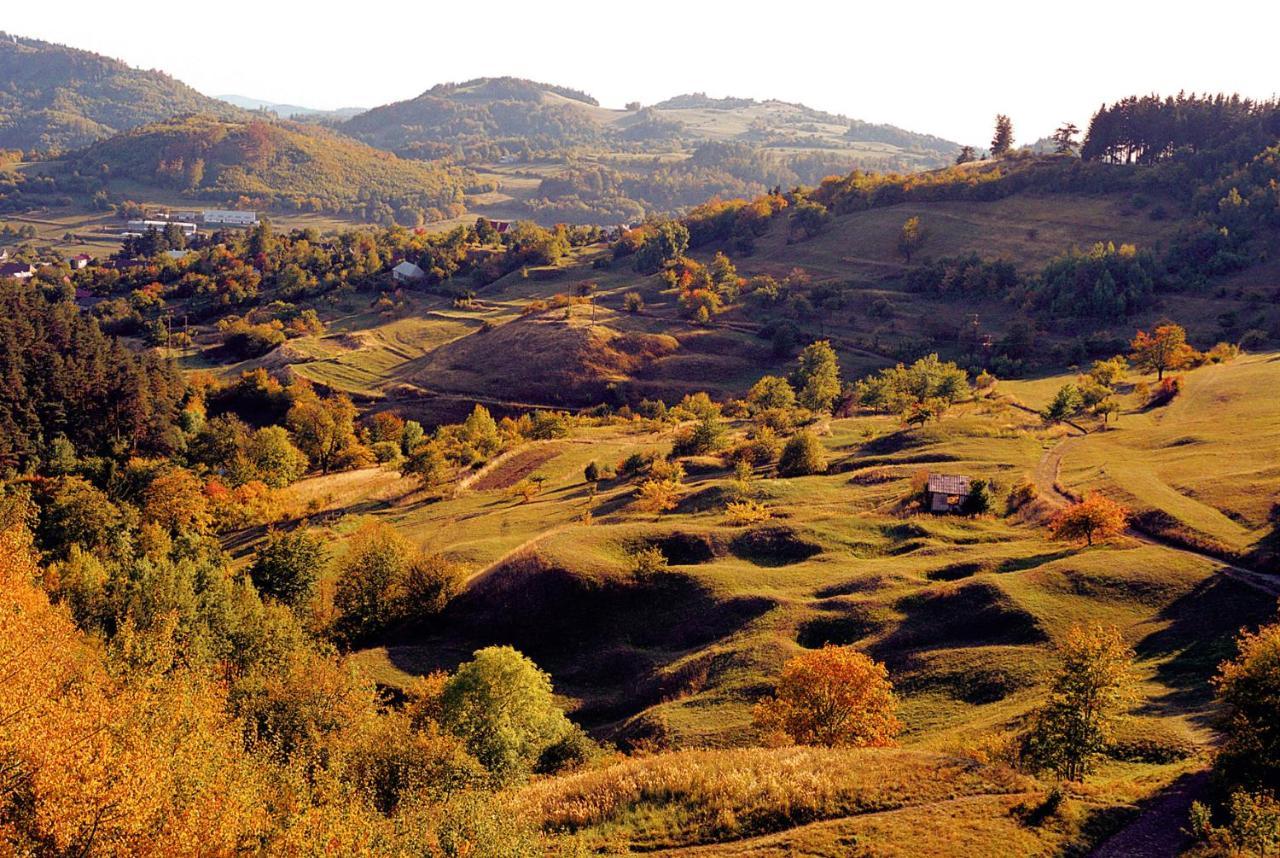 怀旧酒店 Banská Štiavnica 外观 照片