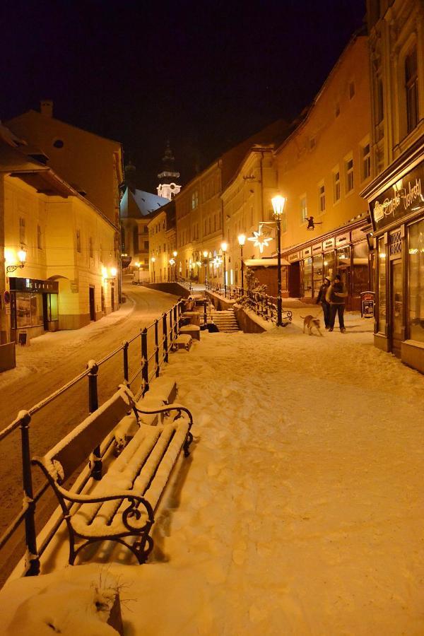 怀旧酒店 Banská Štiavnica 外观 照片