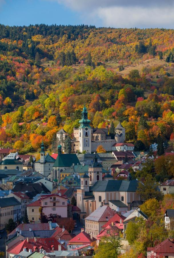 怀旧酒店 Banská Štiavnica 外观 照片